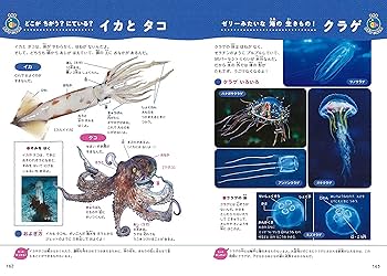 けいきものページ 200420_HKDS_035.jpg?v=1676087803